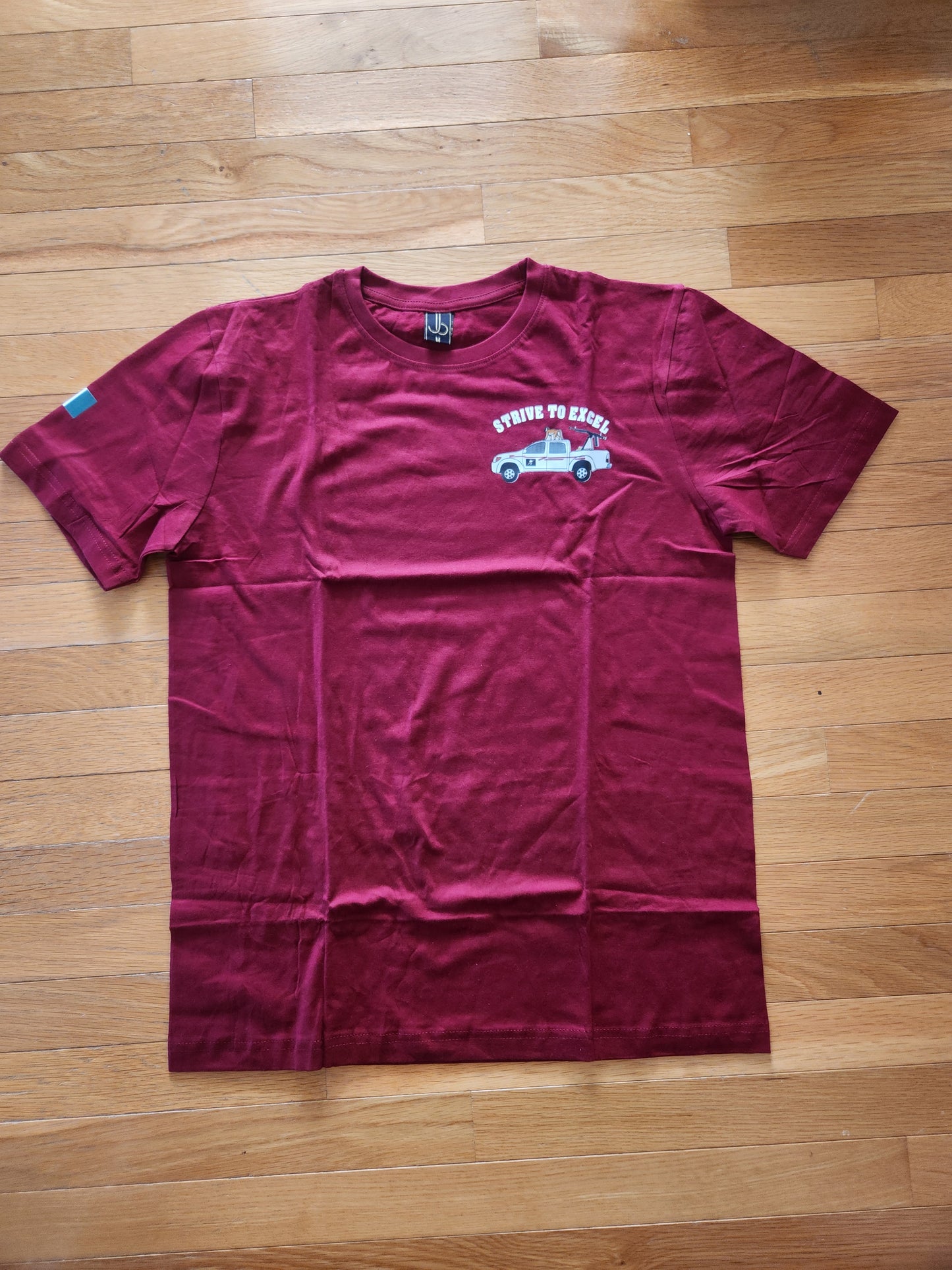Strive to Excel Shirt